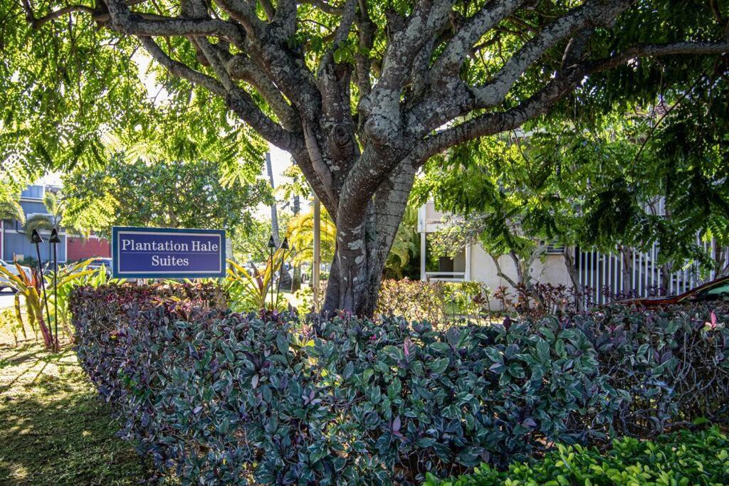 Lovely 1 Bedroom With Kitchen, Free Wifi & Parking Kapa'a Extérieur photo