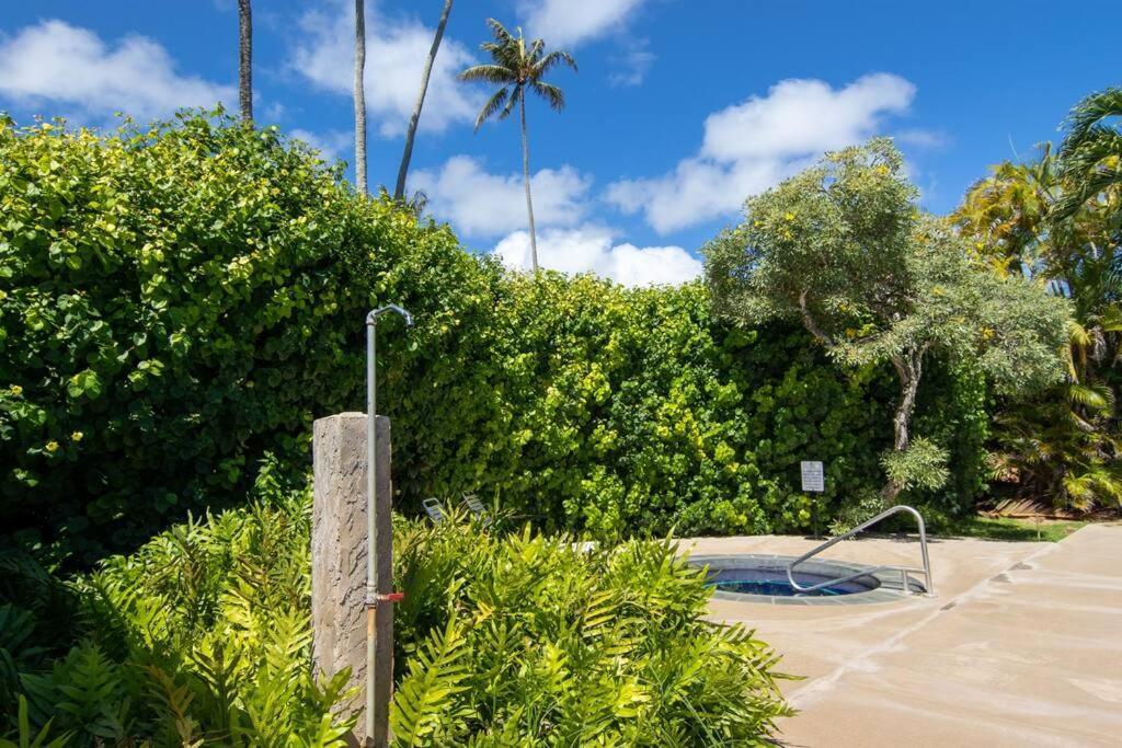 Lovely 1 Bedroom With Kitchen, Free Wifi & Parking Kapa'a Extérieur photo